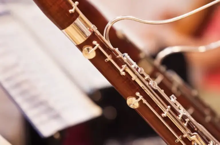 Image of a bassoon