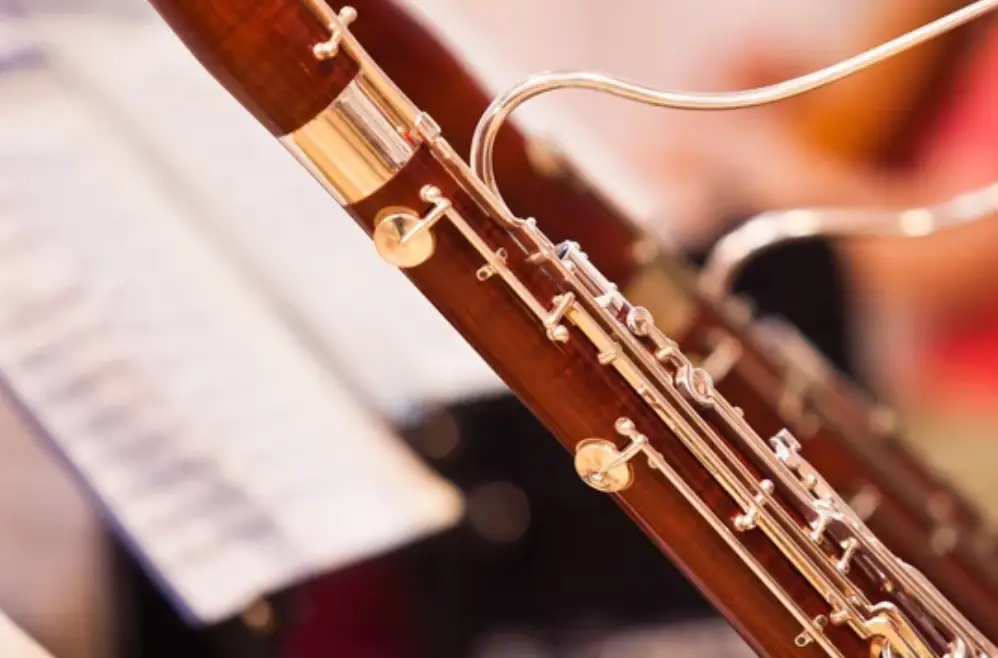 Image of a bassoon
